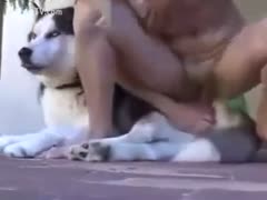 Adorable amateur wife cheated on by adorable puppy